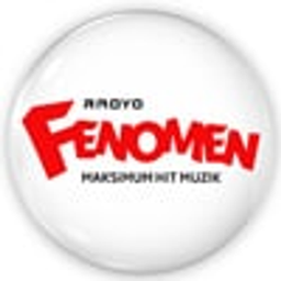 Fenomen Pop 256 logosu