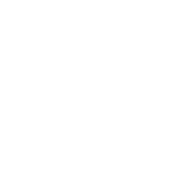 NTV Radyo logosu